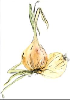 Onion Poultice